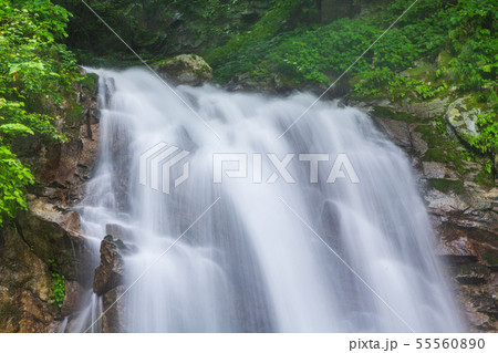 夏の山梨県北杜市 石空川渓谷 二の滝(初見の滝) 55560890