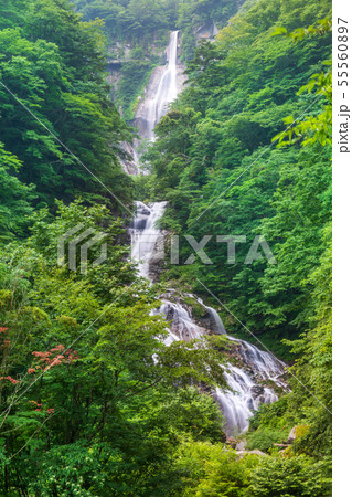 夏の山梨県北杜市 石空川渓谷 精進ヶ滝 55560897