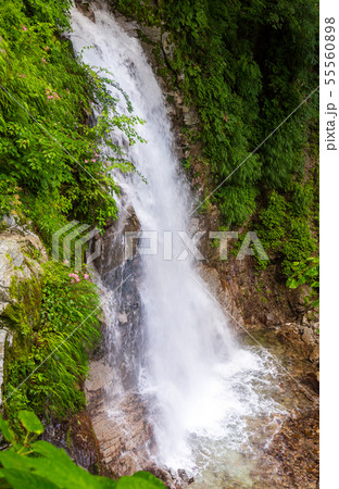 夏の山梨県北杜市 石空川渓谷 二の滝(初見の滝) 55560898
