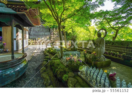 鎌倉　長谷寺　地蔵堂の千体地蔵 55561152