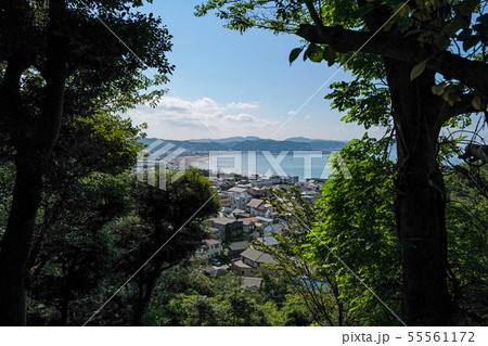 鎌倉　6月の長谷寺　あじさい路より由比ケ浜を望む 55561172