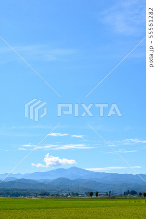 白山の遠望と田んぼ（石川県能美市大長野町より） 55561282
