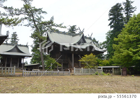 阿蘇神社の神殿群（熊本県阿蘇市一の宮町宮地3083-1） 55561370