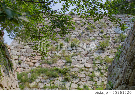 兵庫県、明石城 55561520