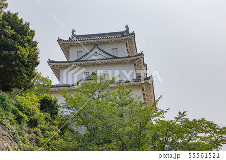 桜の明石城の櫓 55561521