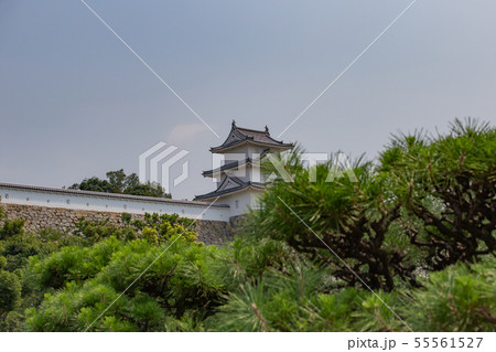 桜の明石城の櫓 55561527