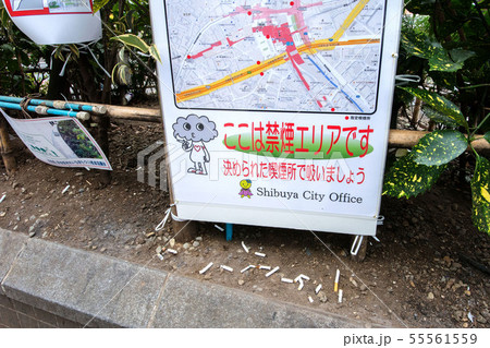 タバコの吸い殻のポイ捨て 55561559