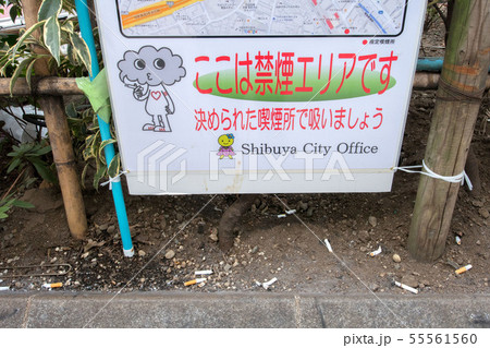 タバコの吸い殻のポイ捨て タバコの吸い殻のポイ捨て 55561560