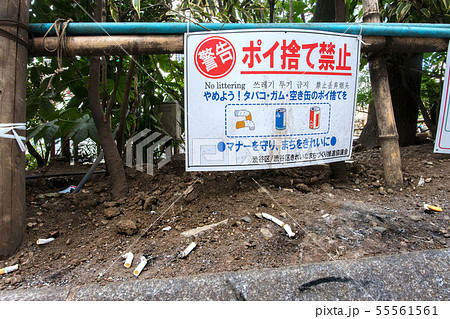 タバコの吸い殻のポイ捨て 55561561