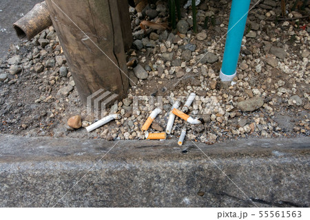 タバコの吸い殻のポイ捨て タバコの吸い殻のポイ捨て 55561563