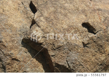 荒い岩肌 55561797