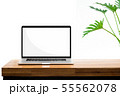 Laptop blank screen on wooden table green plant 55562078