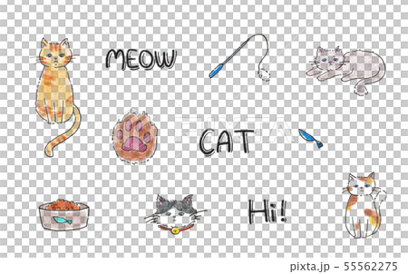 貓色的鉛筆線描手拉的集合 55562275