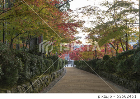 高野山蛇腹道の紅葉 高野山蛇腹道の紅葉 55562451