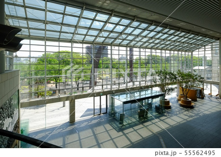 高崎市役所　ロビー 55562495