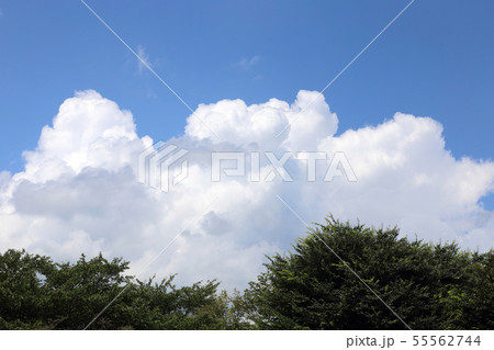 青空と白い曇 55562744