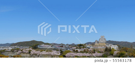 【パノラマ】姫路城 桜 【パノラマ】姫路城 桜 55563178