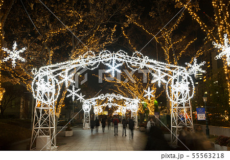 中之島イルミネーション 中之島イルミネーション 55563218