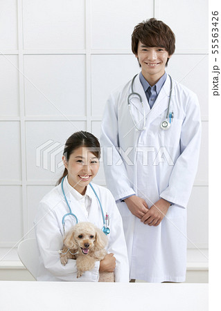犬と笑顔の獣医 55563426