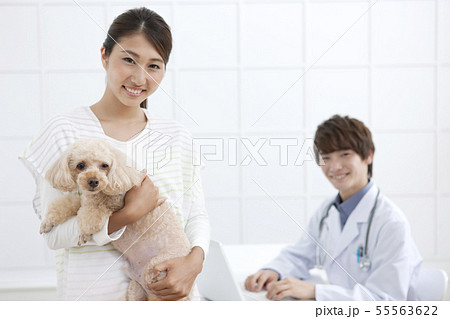 犬を抱える女性と獣医の写真素材