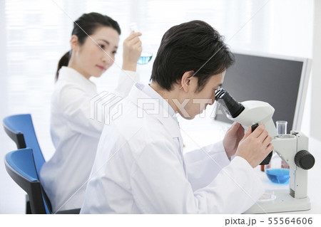 顕微鏡を覗く研究員 顕微鏡を覗く研究員 55564606