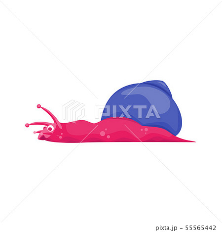 Cartoon Color Character Funny Snail on a White. Vector 55565442