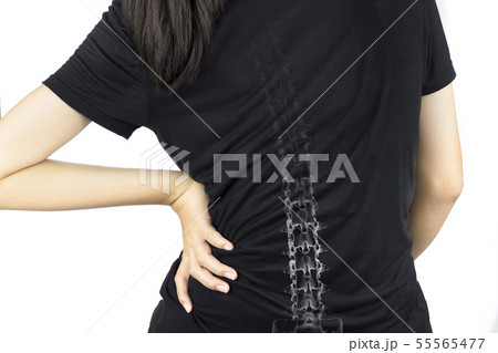 spine bones injury white background spine pain	 55565477