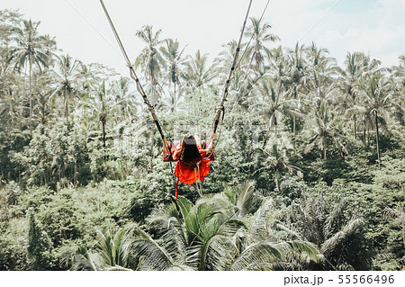 Young pretty Asian woman is swinging on the cliff Young pretty Asian woman is swinging on the cliff 55566496