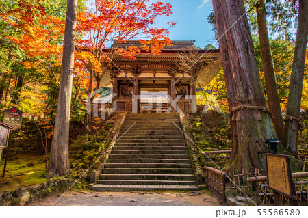 秋の滋賀 湖東三山 西明寺 二天門 秋の滋賀 湖東三山 西明寺 二天門 55566580