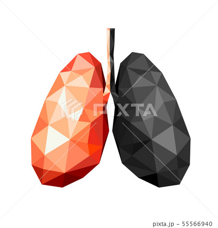 polygonal art of human lung design.  55566940