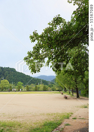 夏の公園 夏の公園 55567089