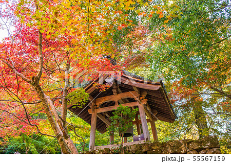 秋の滋賀　湖東三山　西明寺　鐘楼 55567159