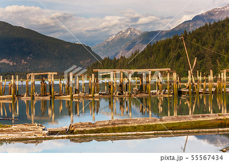 Bella Coola 55567434