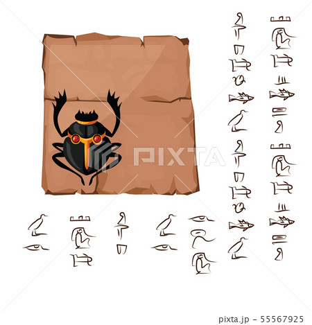 Ancient Egypt papyrus part or or stone column 55567925