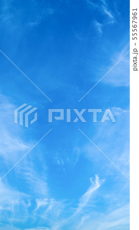 8月の空(縦) 8月の空(縦) 55567961