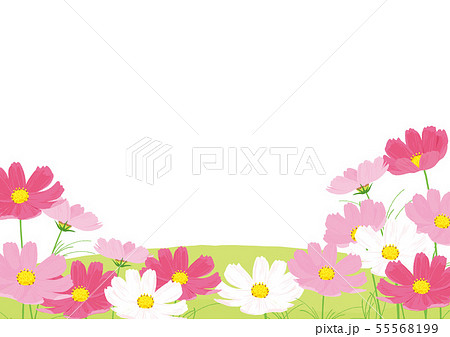 コスモス畑 背景イラストのイラスト素材