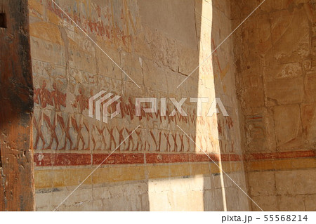 エジプト王家の谷の風景 エジプト王家の谷の風景 55568214