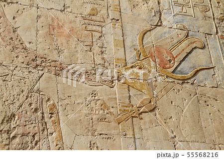 エジプト王家の谷の風景 55568216