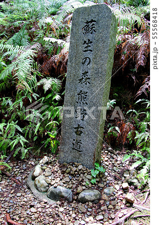 蘇生の森　熊野古道の石碑　熊野本宮大社と発心門王子の間の熊野古道に少し斜めで設置されている　　 55568418