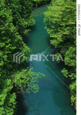 高知県仁淀川町　仁淀川支流長者川のみどりの淵 55568482