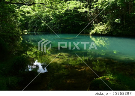 高知県仁淀川町 仁淀川支流のみどりの淵 高知県仁淀川町 仁淀川支流のみどりの淵 55568897