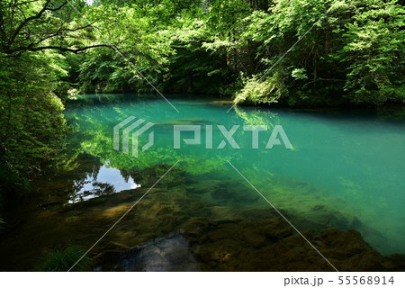 高知県仁淀川町　仁淀川支流のみどりの淵 55568914