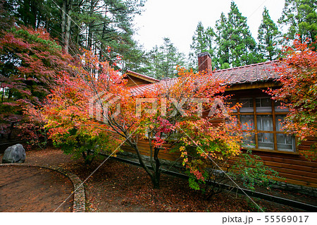 アジア人 アジアン アジア風 55569017