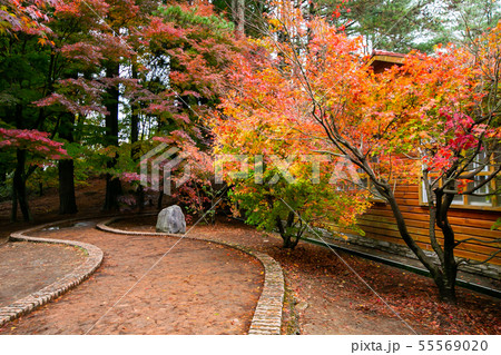 アジア人 アジアン アジア風 55569020