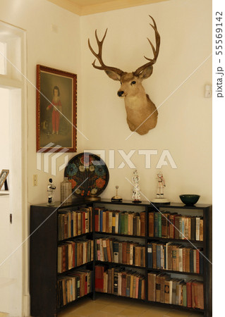 フィンカ・ビヒア邸（ヘミングウェイ博物館） 55569142