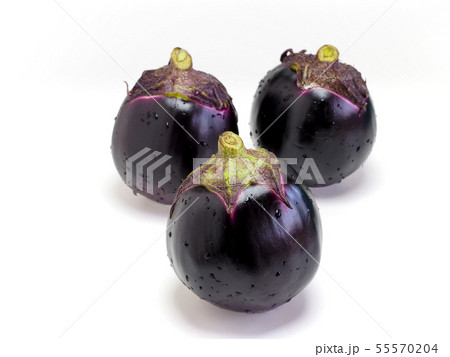 丸なす 丸なす 55570204