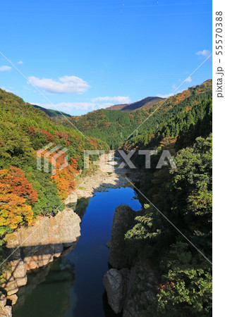 紅葉の神通峡 55570388