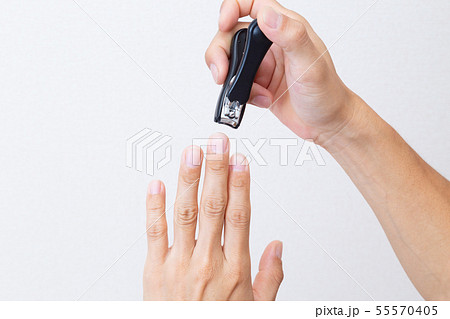 爪切り 爪切り 55570405
