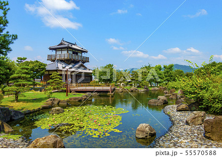 池田城跡公園 池田市 大阪府 55570588