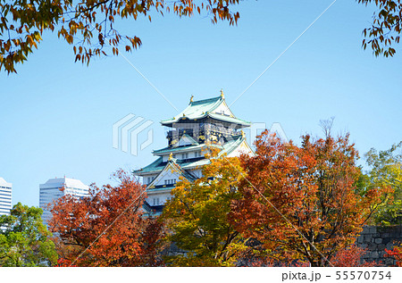 秋の大阪城 55570754
